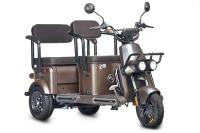 Электротрицикл Wanshida U1-X 60V 800Вт