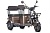 Электротрицикл Wanshida U1-X 60V 800Вт