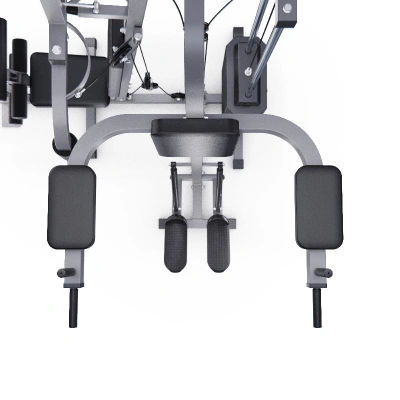 Силовой комплекс DFC HomeGym D7002-60 стек 60 кг