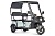 Электротрицикл Wanshida NIPLA 570 60V 1000Вт