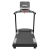 Беговая дорожка CardioPower профессиональный (PRO) CT100 Беговая дорожка CardioPower профессиональный (PRO) CT100